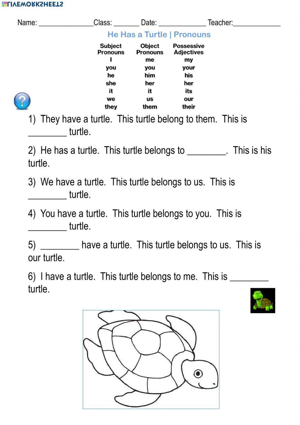 He has a Turtle - Pronouns