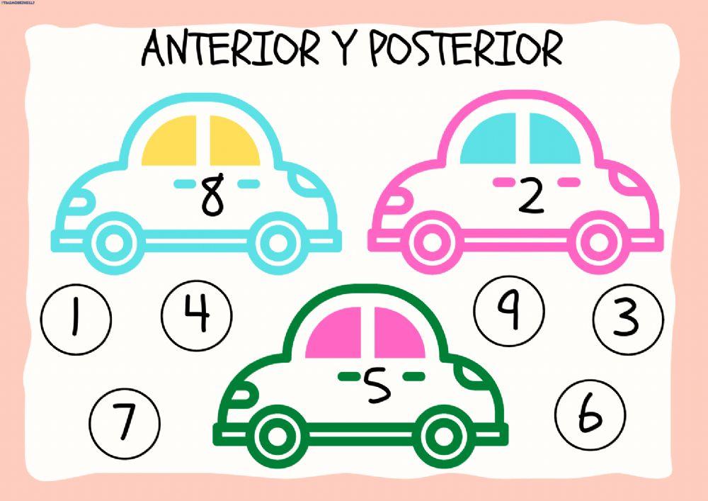 Anterior y Posterior