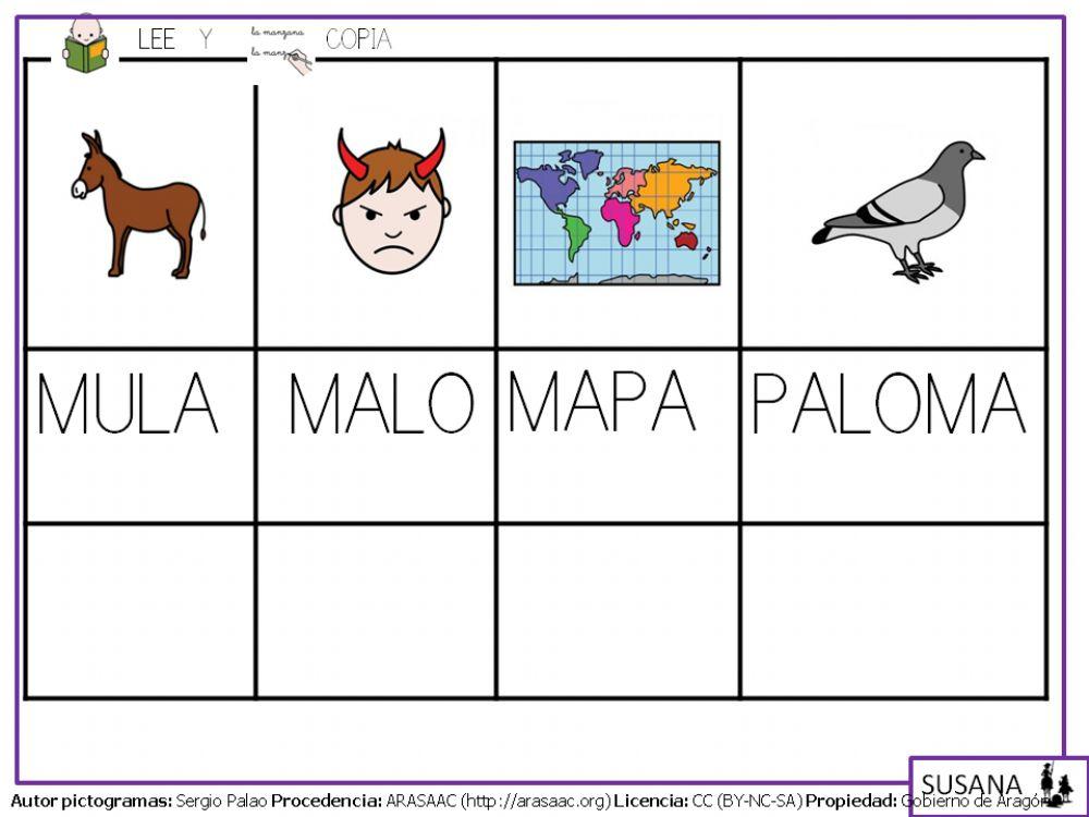 Palabras con p-l-m.4