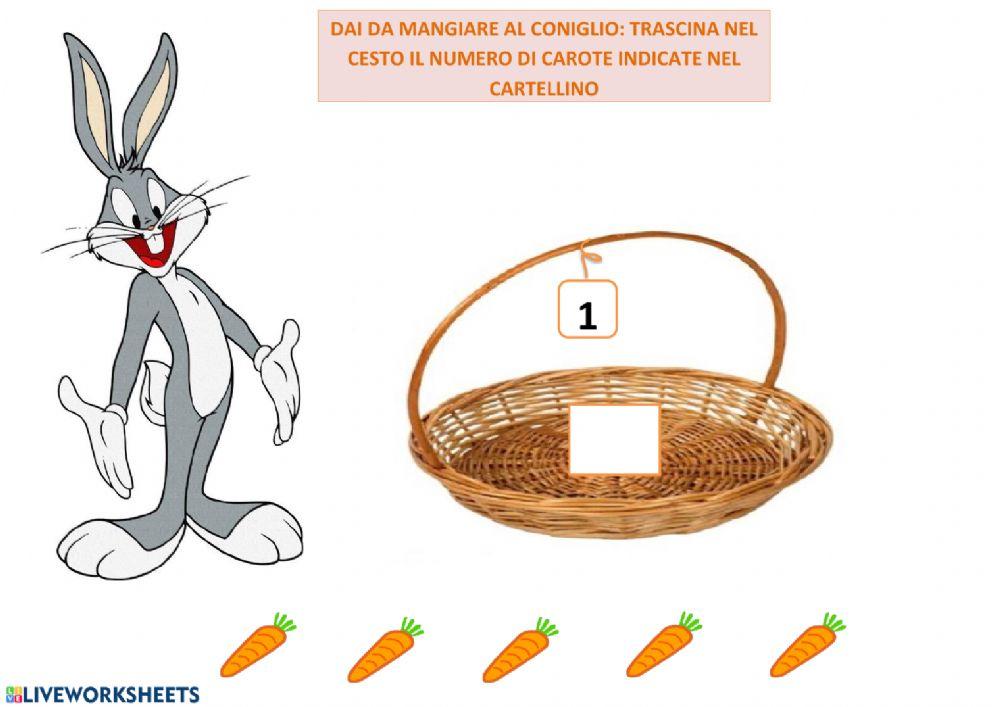 Coniglio mangia carote