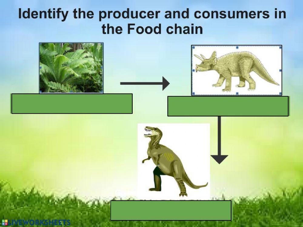 Dino foodchain