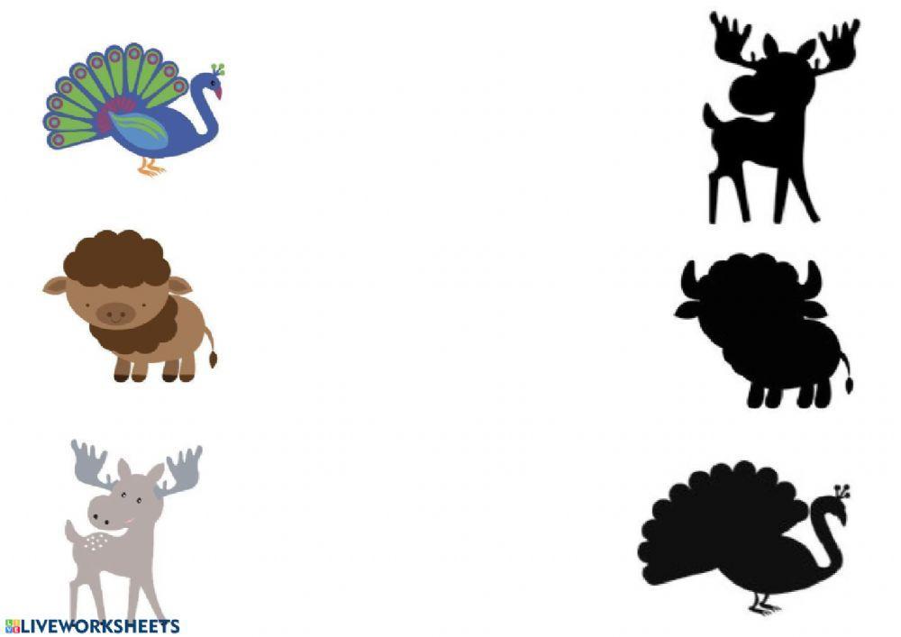 Percepción visual-sombras