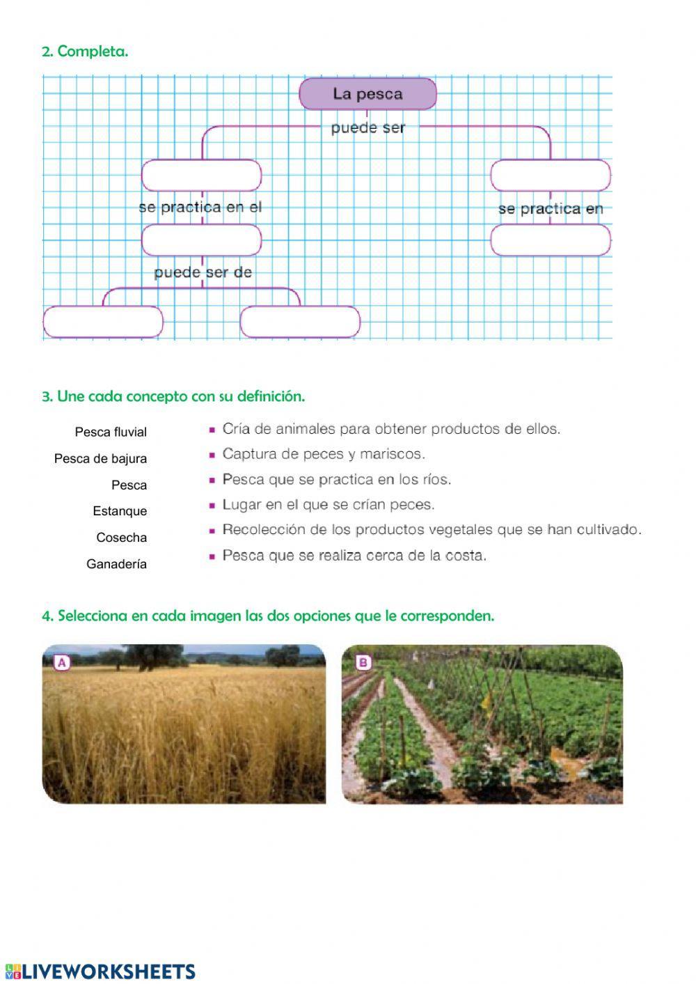 El trabajo y los trabajos en la naturaleza