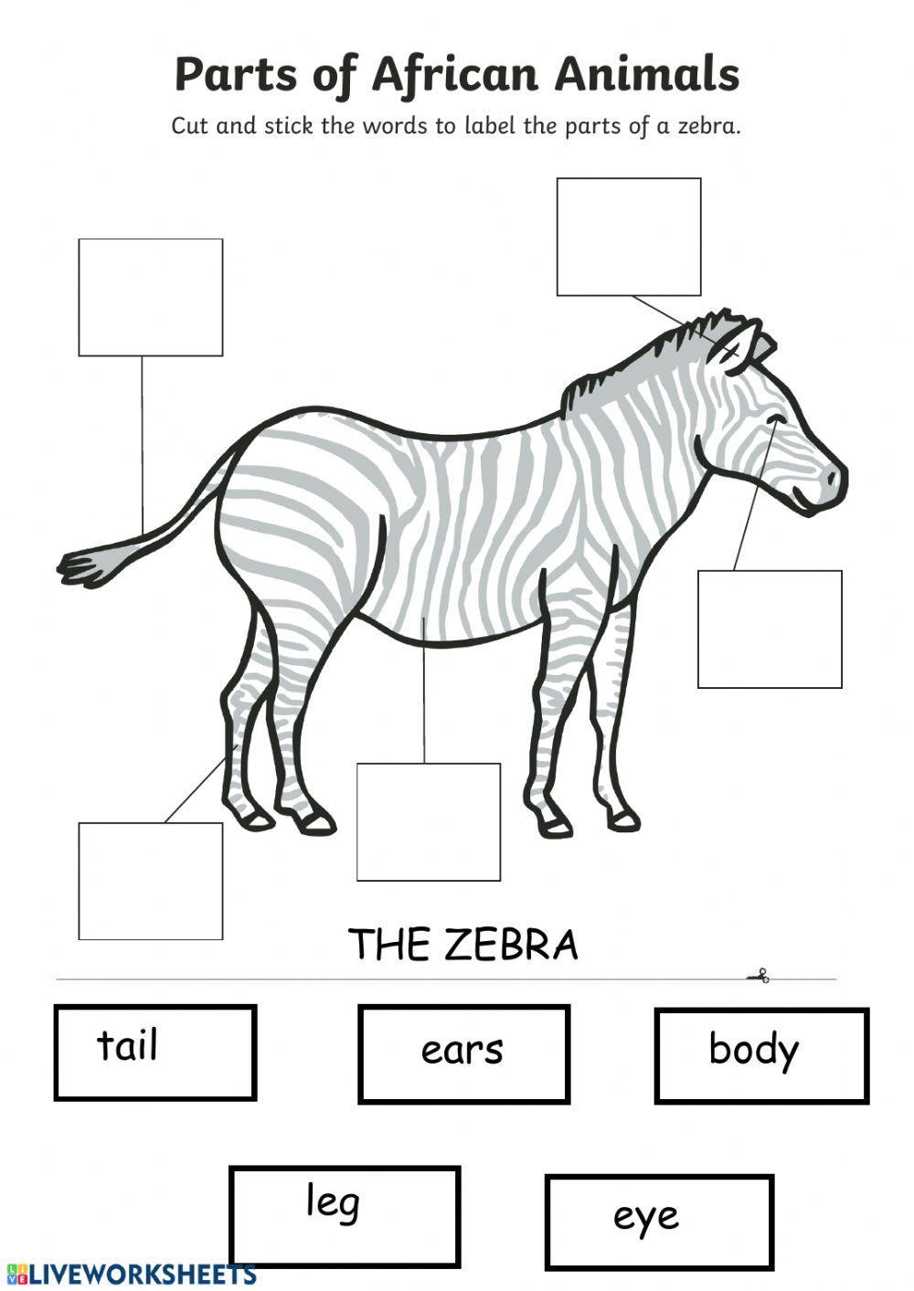 Parts of the body- wild animals