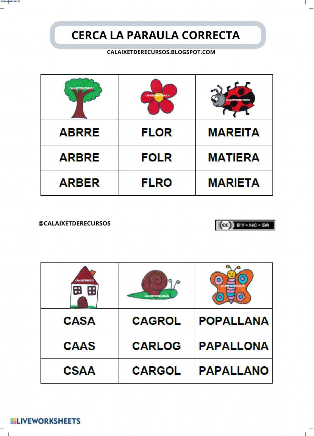 Cerca la paraula correcta entorn 2
