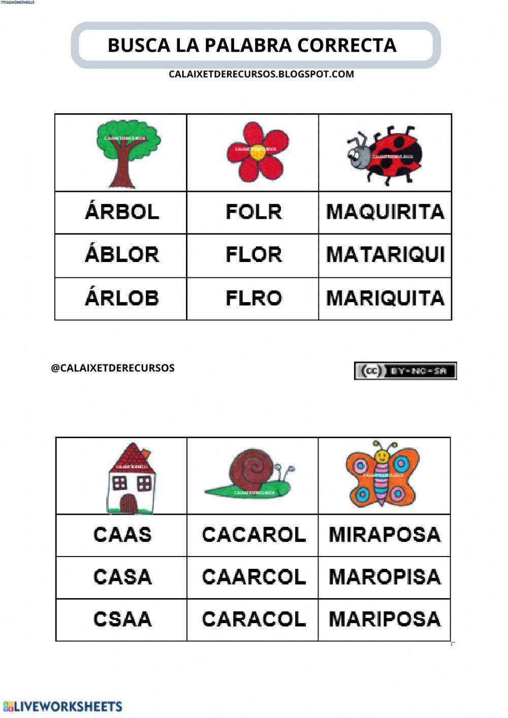 Busca la palabra correcta entorno