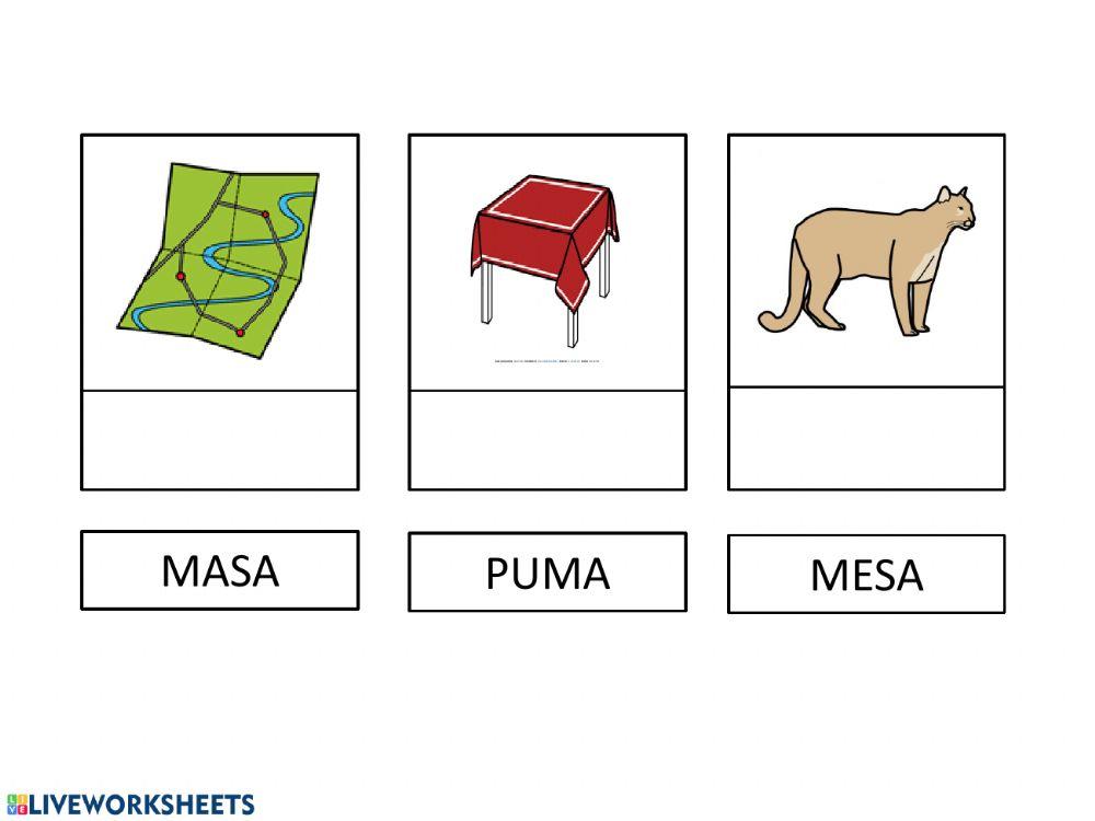 Lectura global, primeras letras