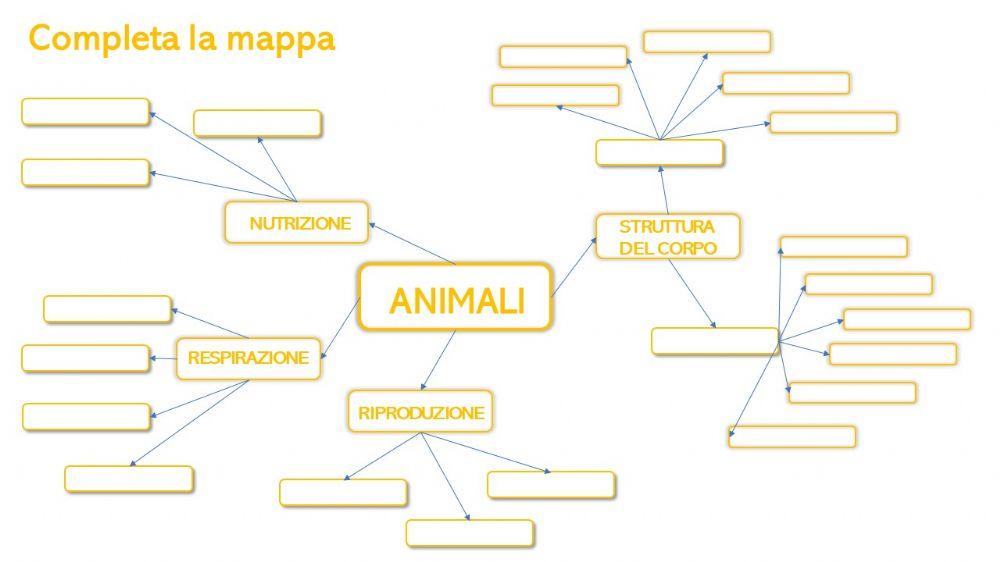 Animali - classificazione Animali - classificazione