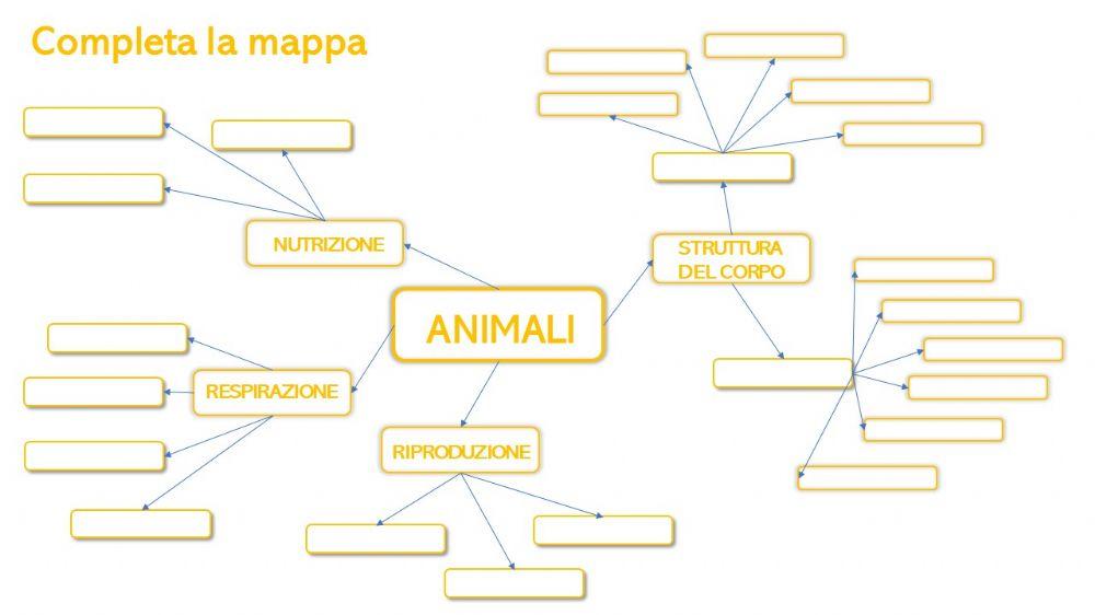 Animali - classificazione