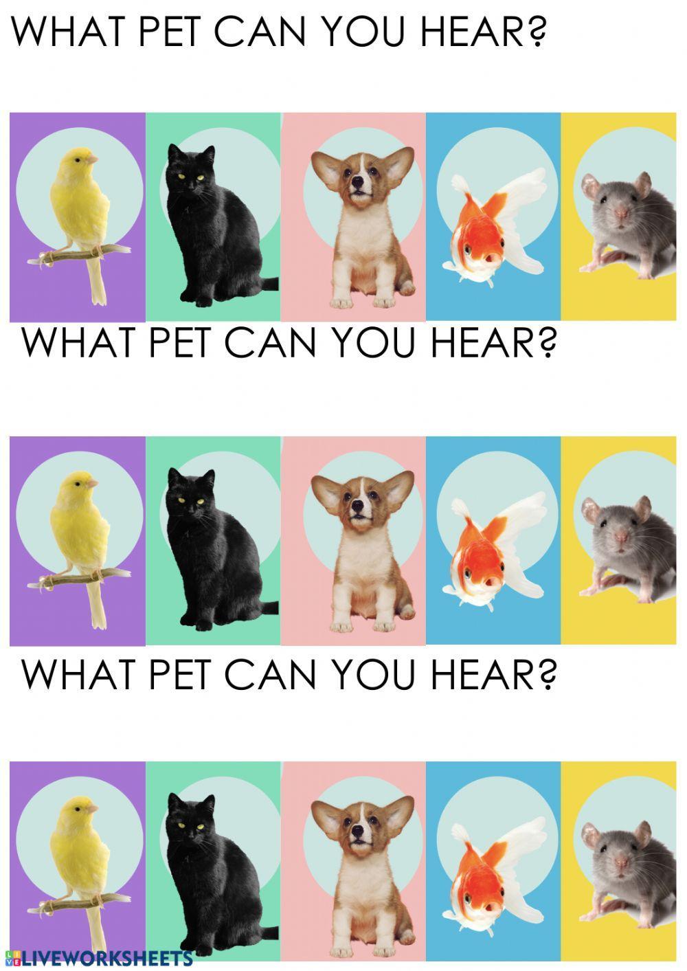 Pet sounds 1