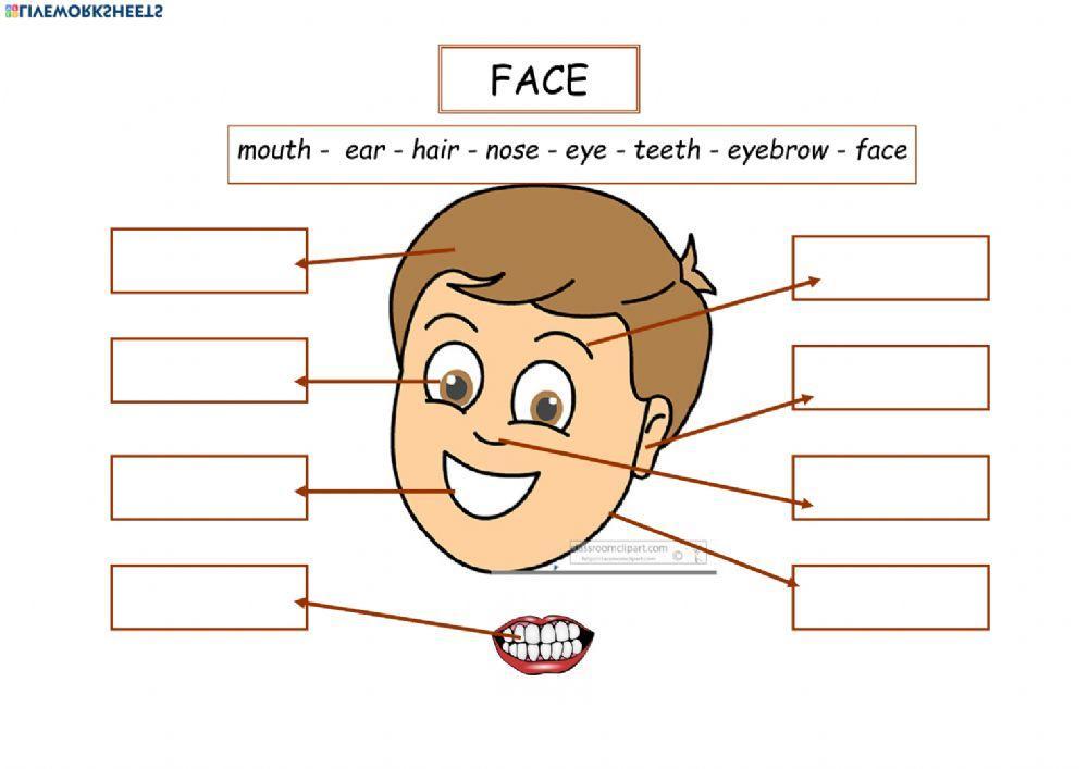 My face My face
