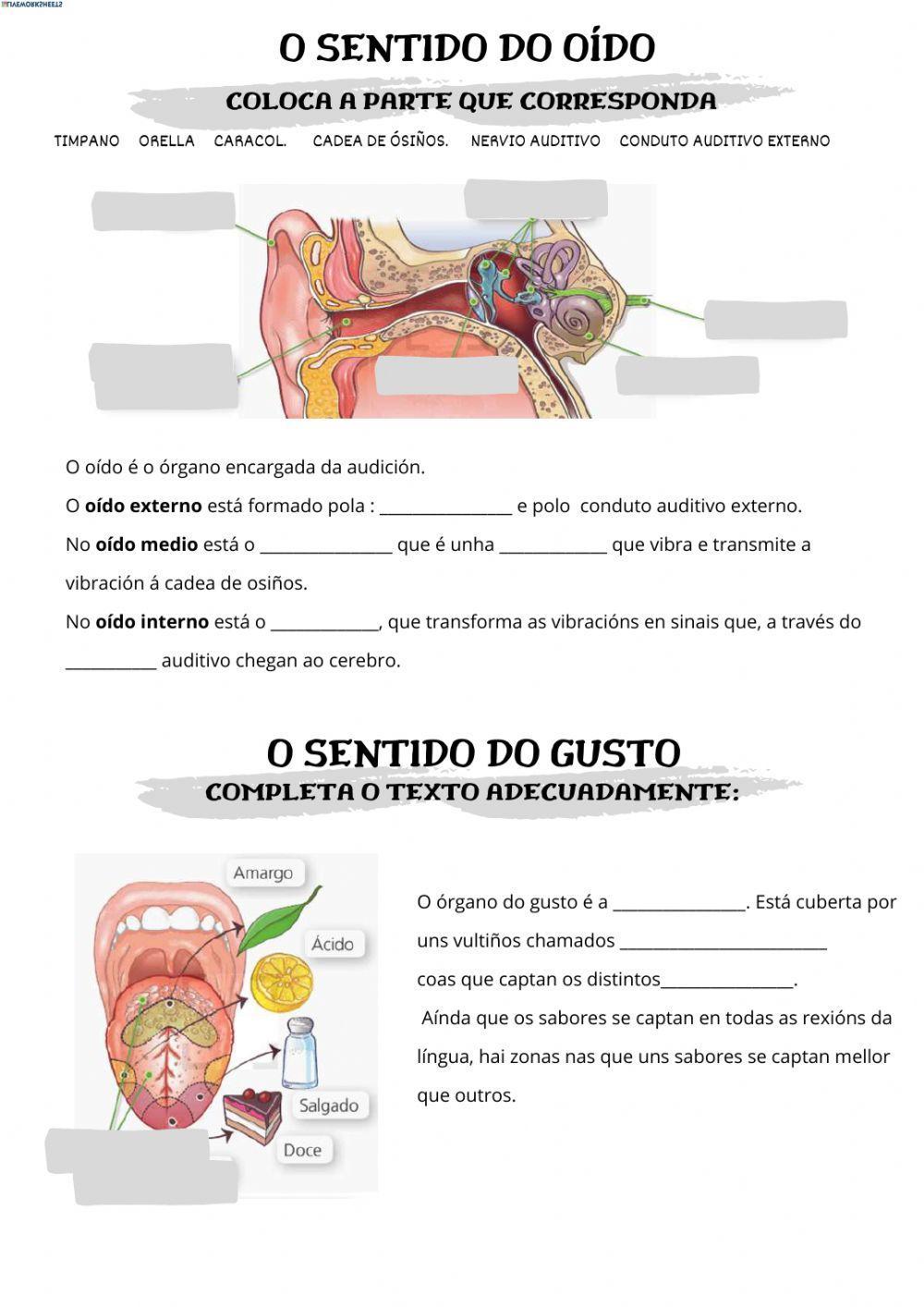 A función de relación