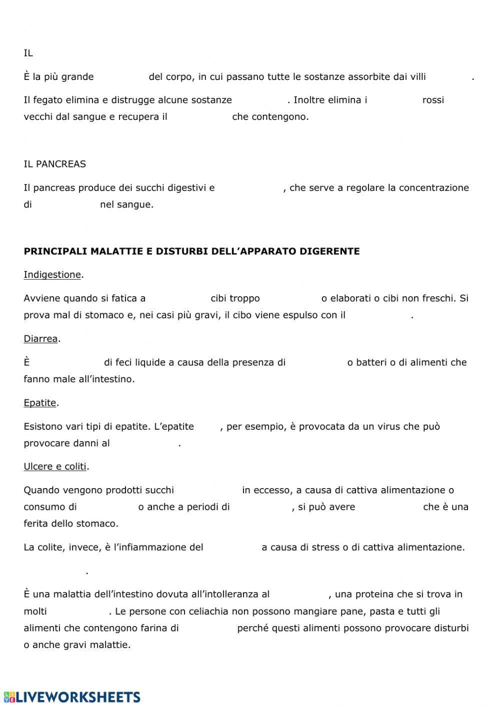 L'apparato Digerente