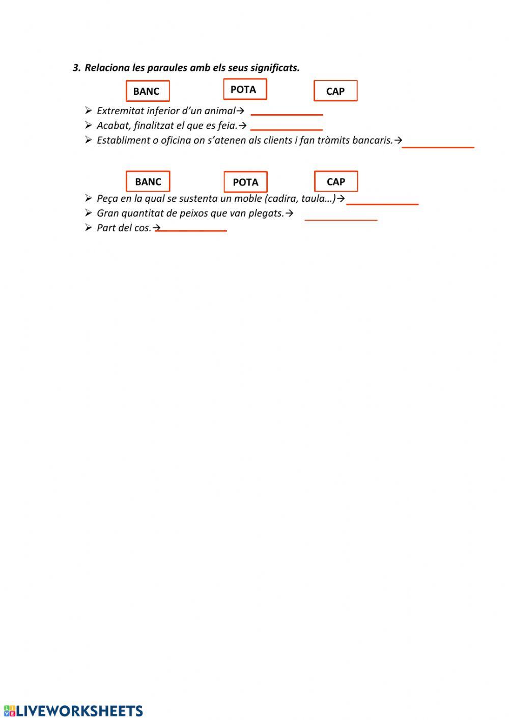 Gènere, número i polisèmiques