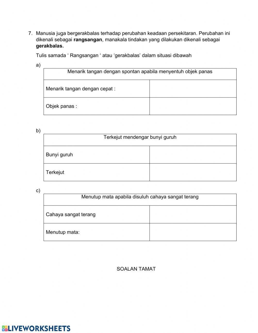 Manusia (Sains Tahun4)