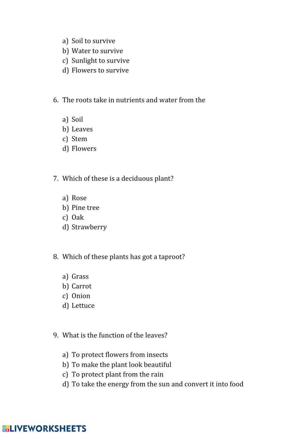 Quiz about plants