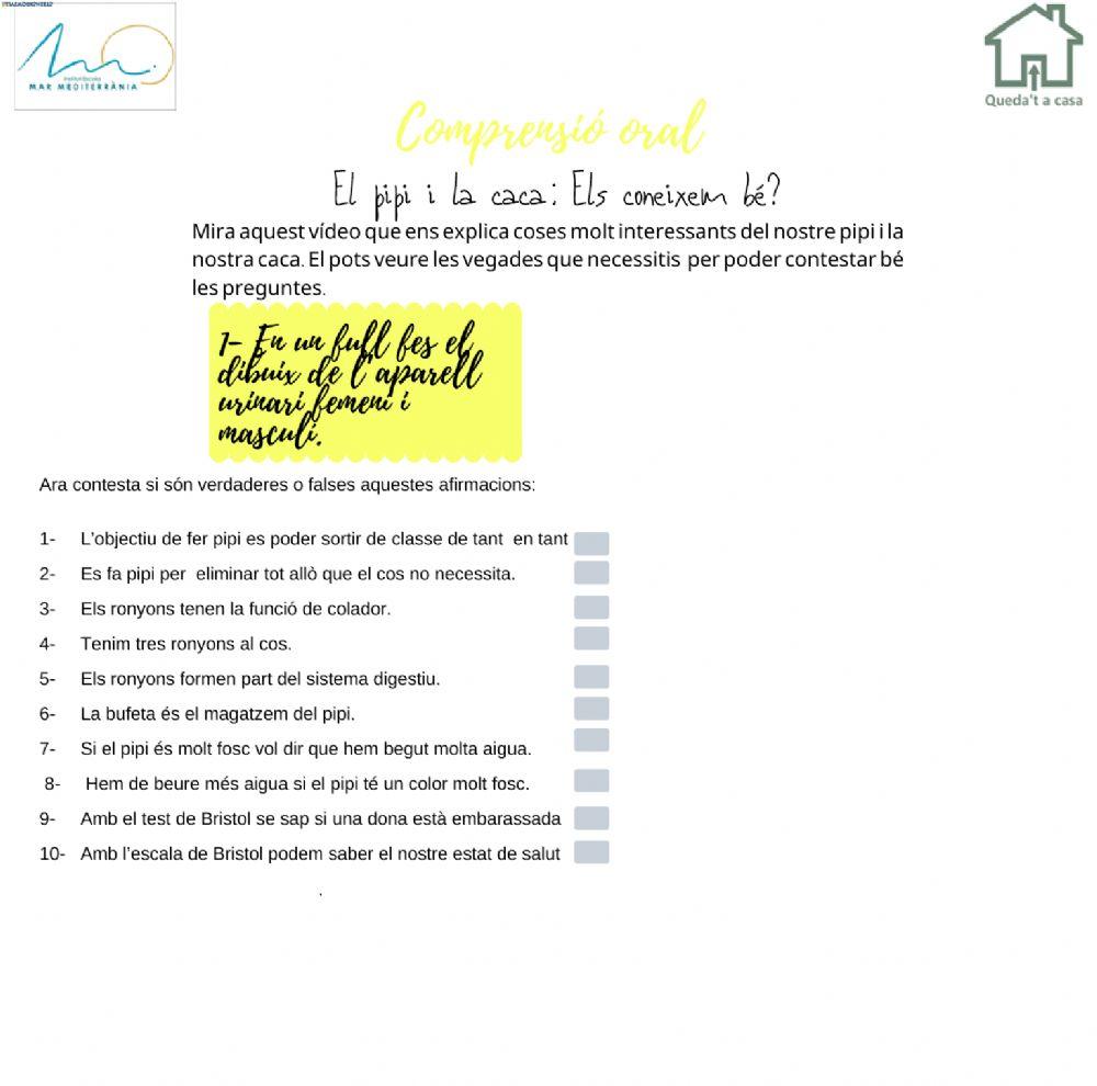 Comprensió oral pipi i caca