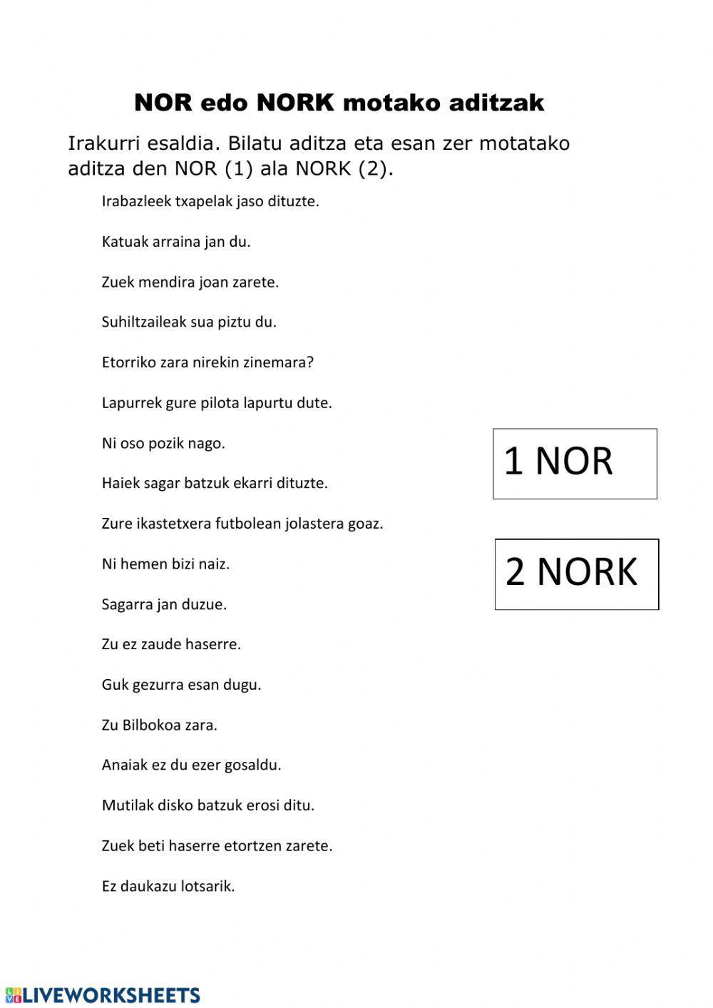 Nor eta nork aditzak