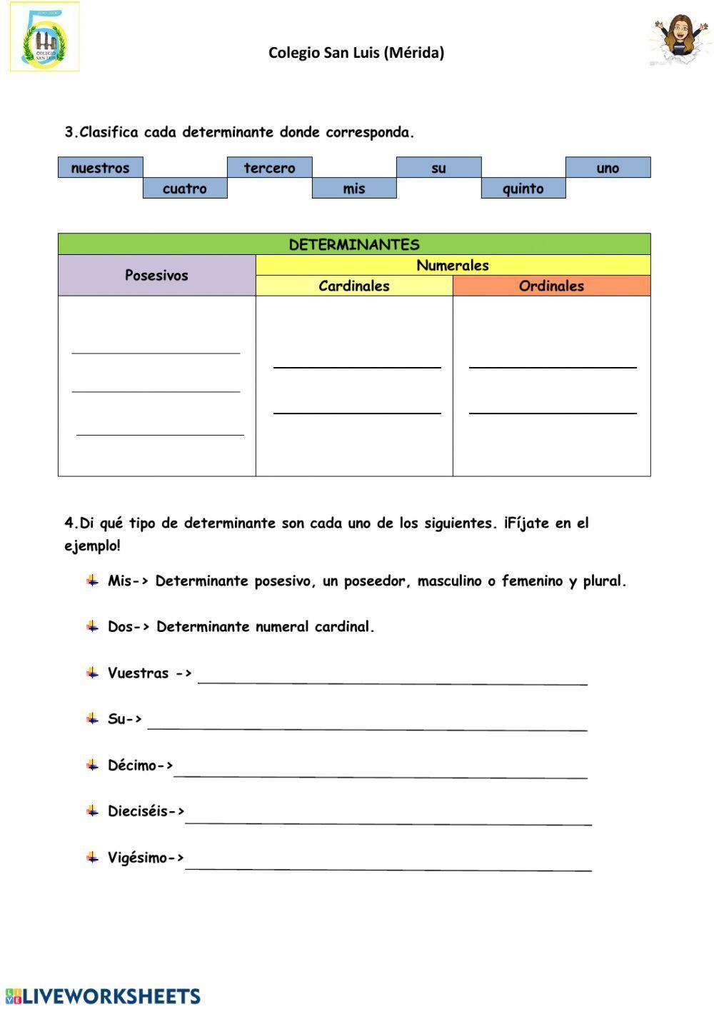 Determinantes posesivos y numerales