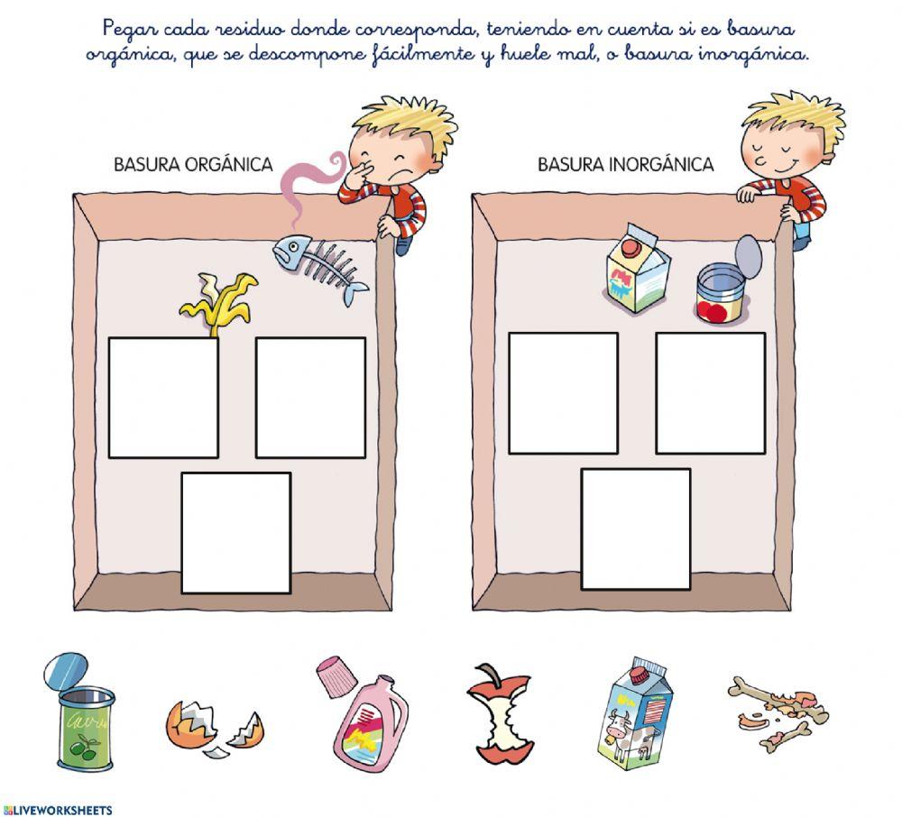 Basura Organica e Inorganica