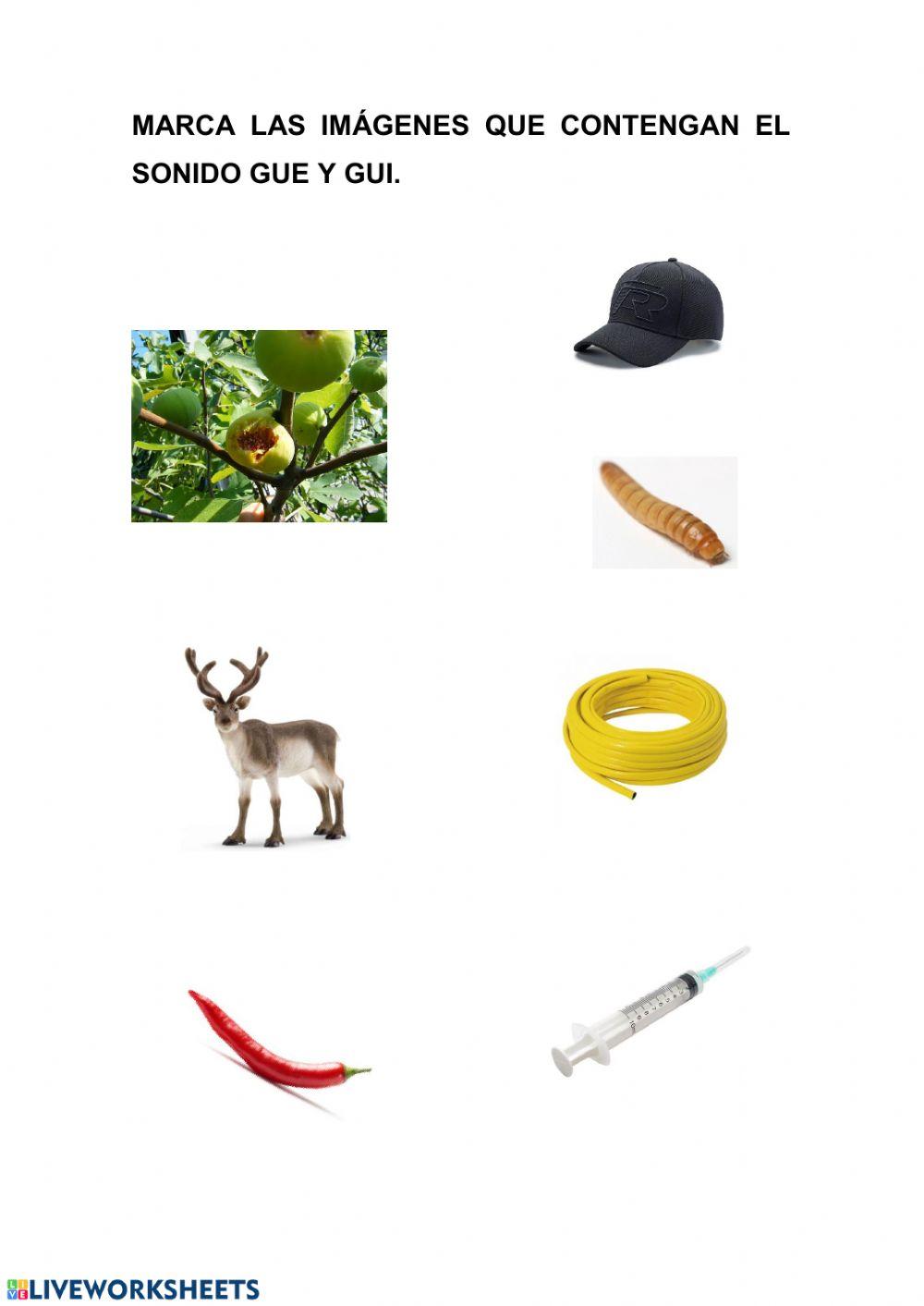 Palabras con GUE-GUI