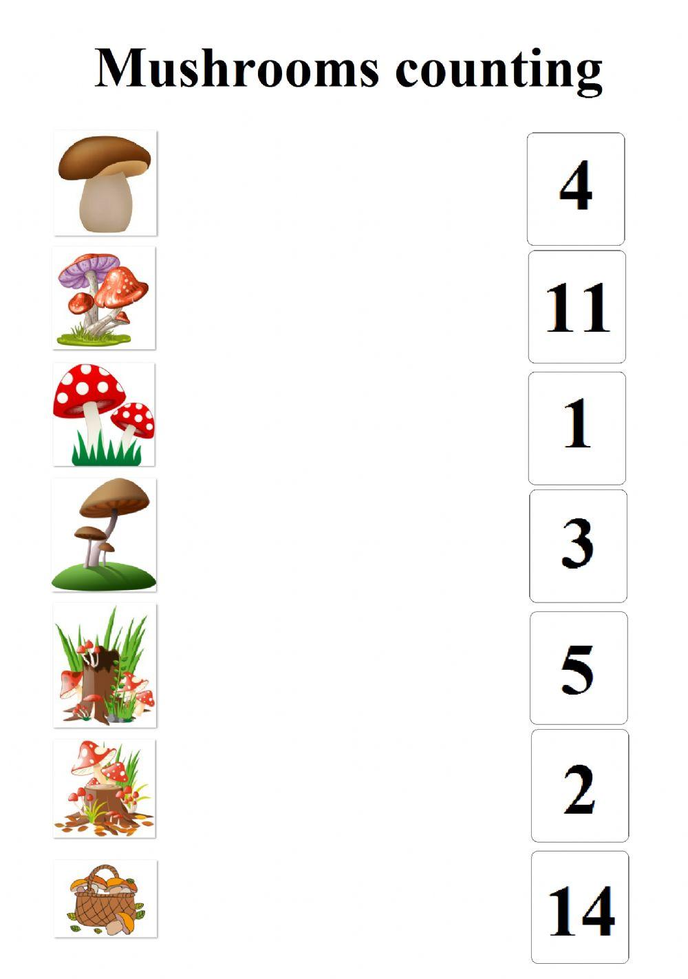Mushrooms counting