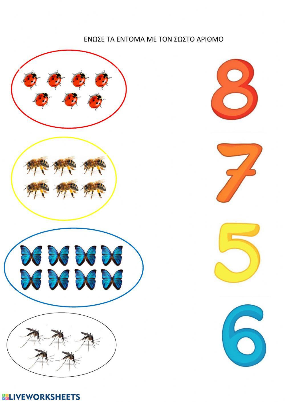 Ένωσε τα έντομα με τον σωστό αριθμό