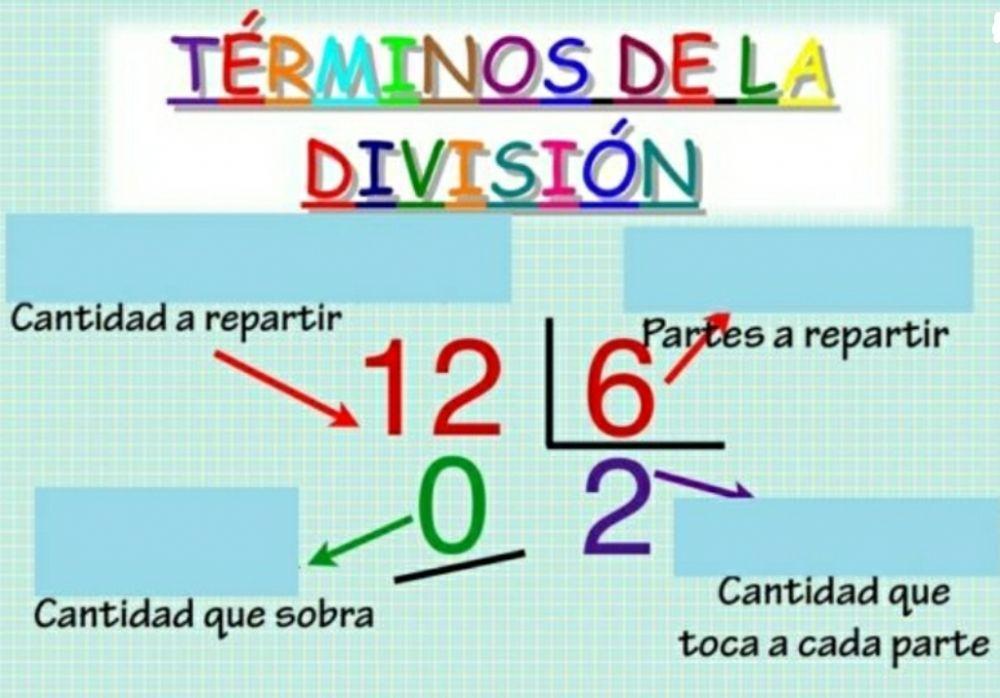 Términos de la división