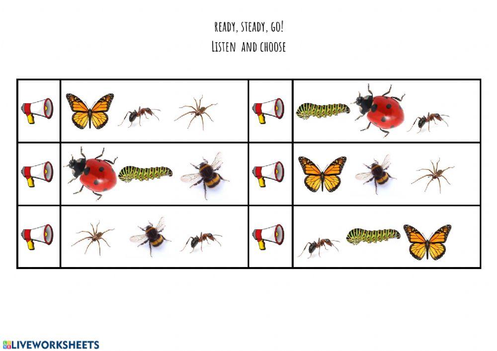 Listen and choose the correct insect