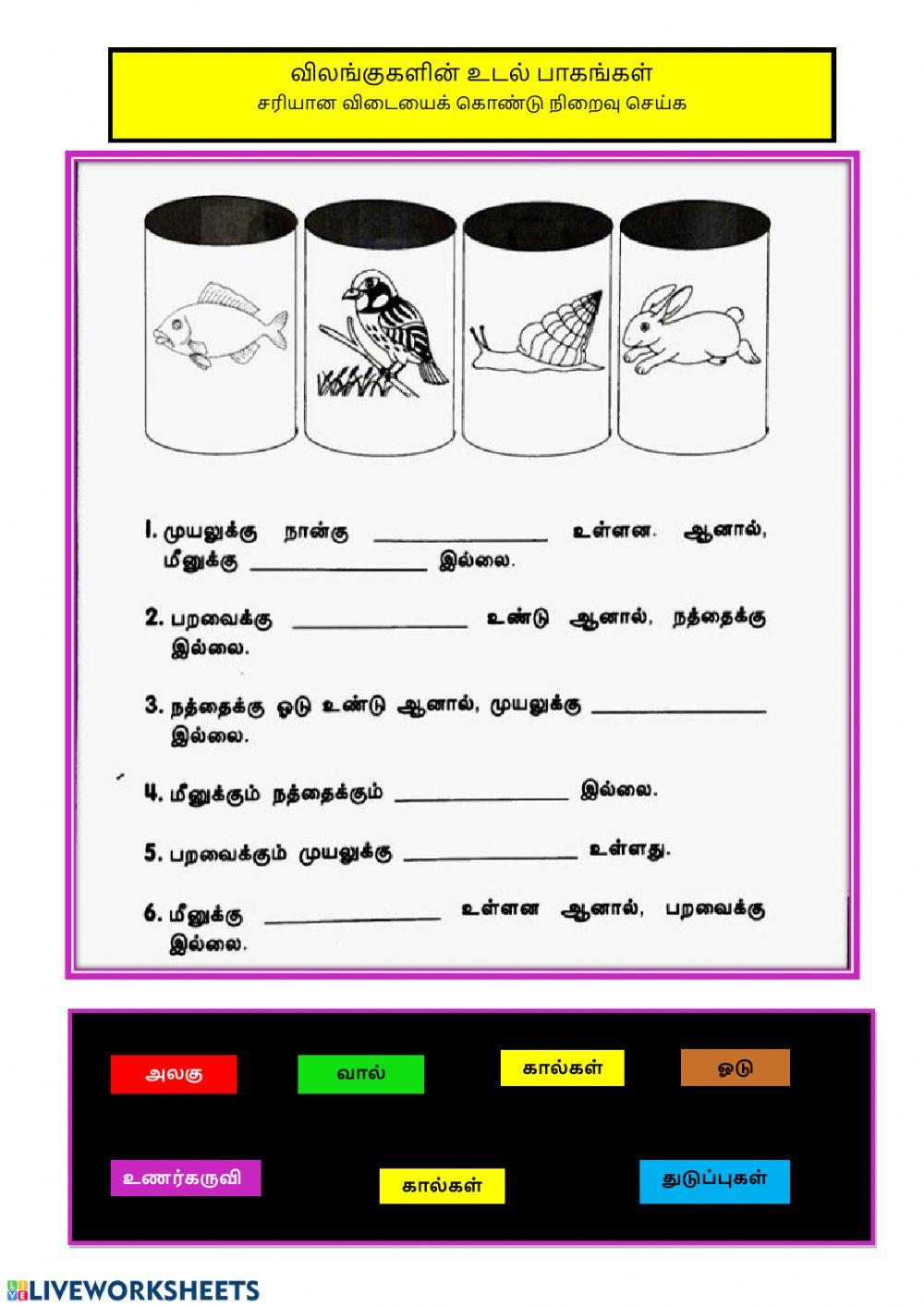 விலங்குகள்
