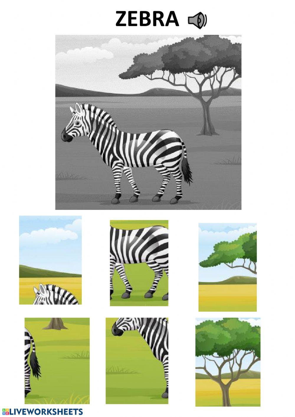 Zebra puzzle