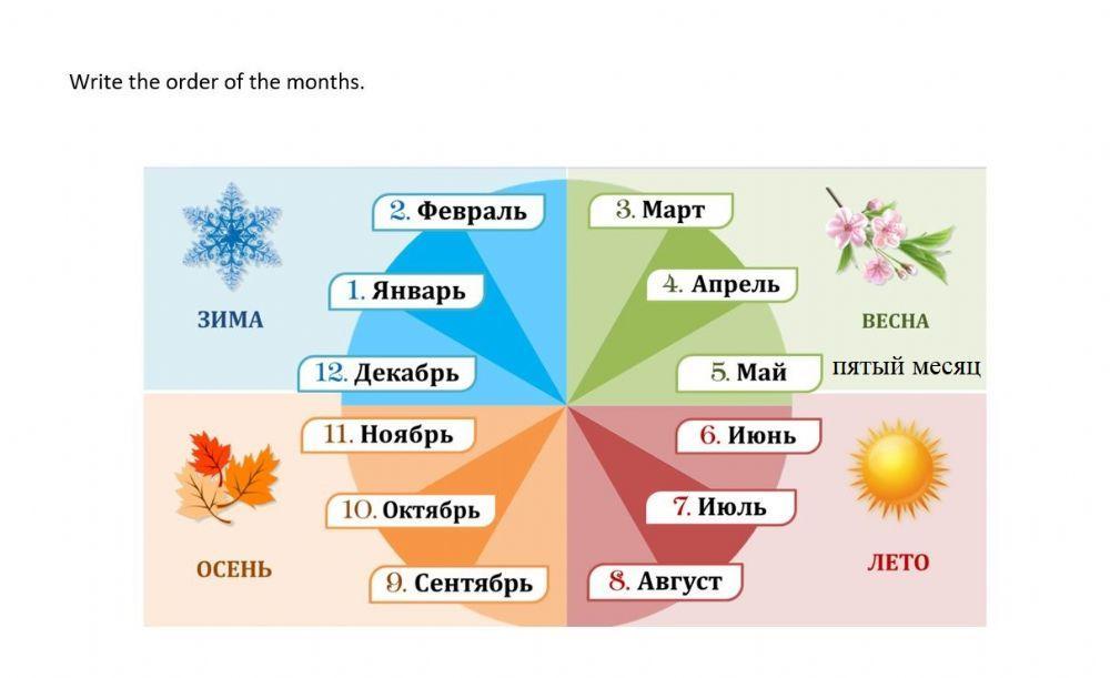 сколько лет месяцев и дней