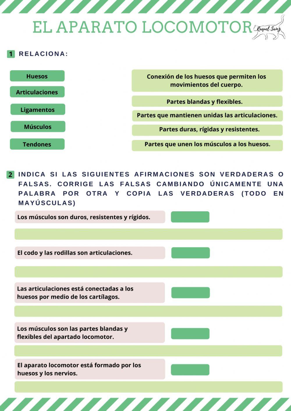 El aparato locomotor