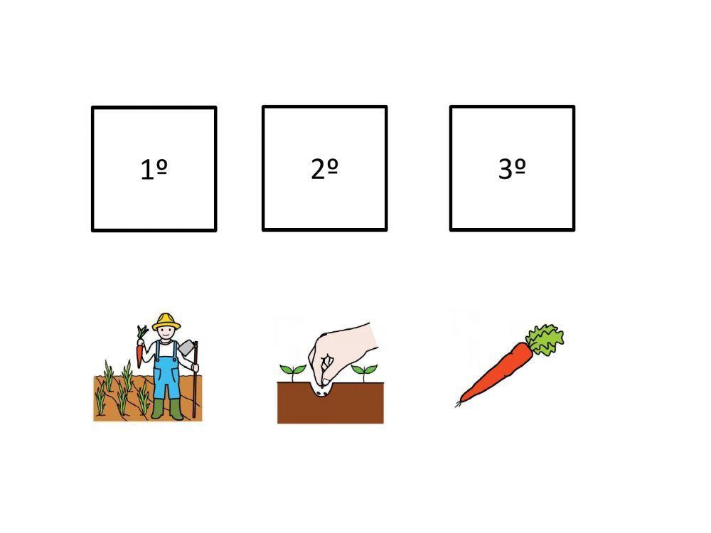 Ordena las secuencias