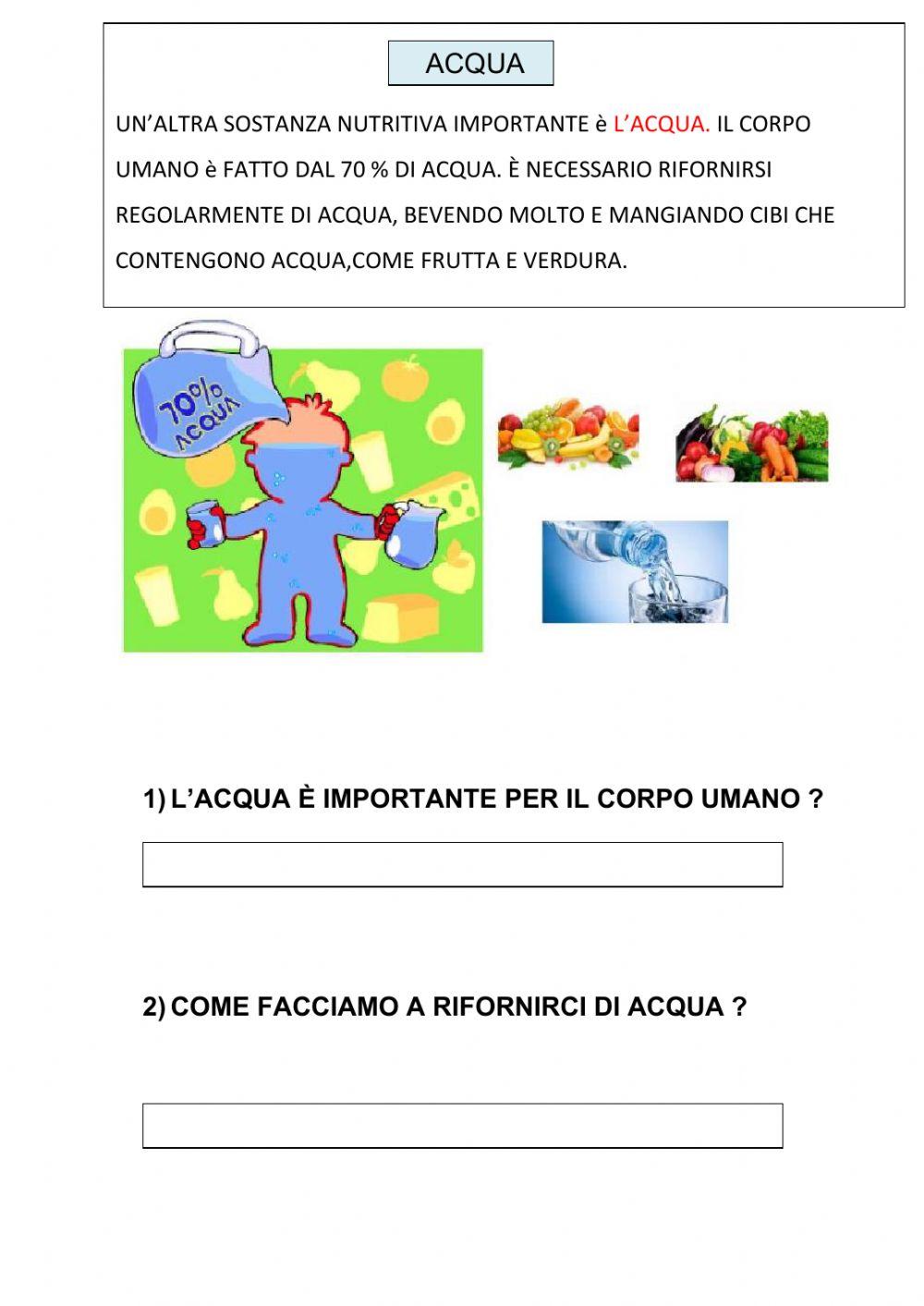 L'alimentazione L'alimentazione