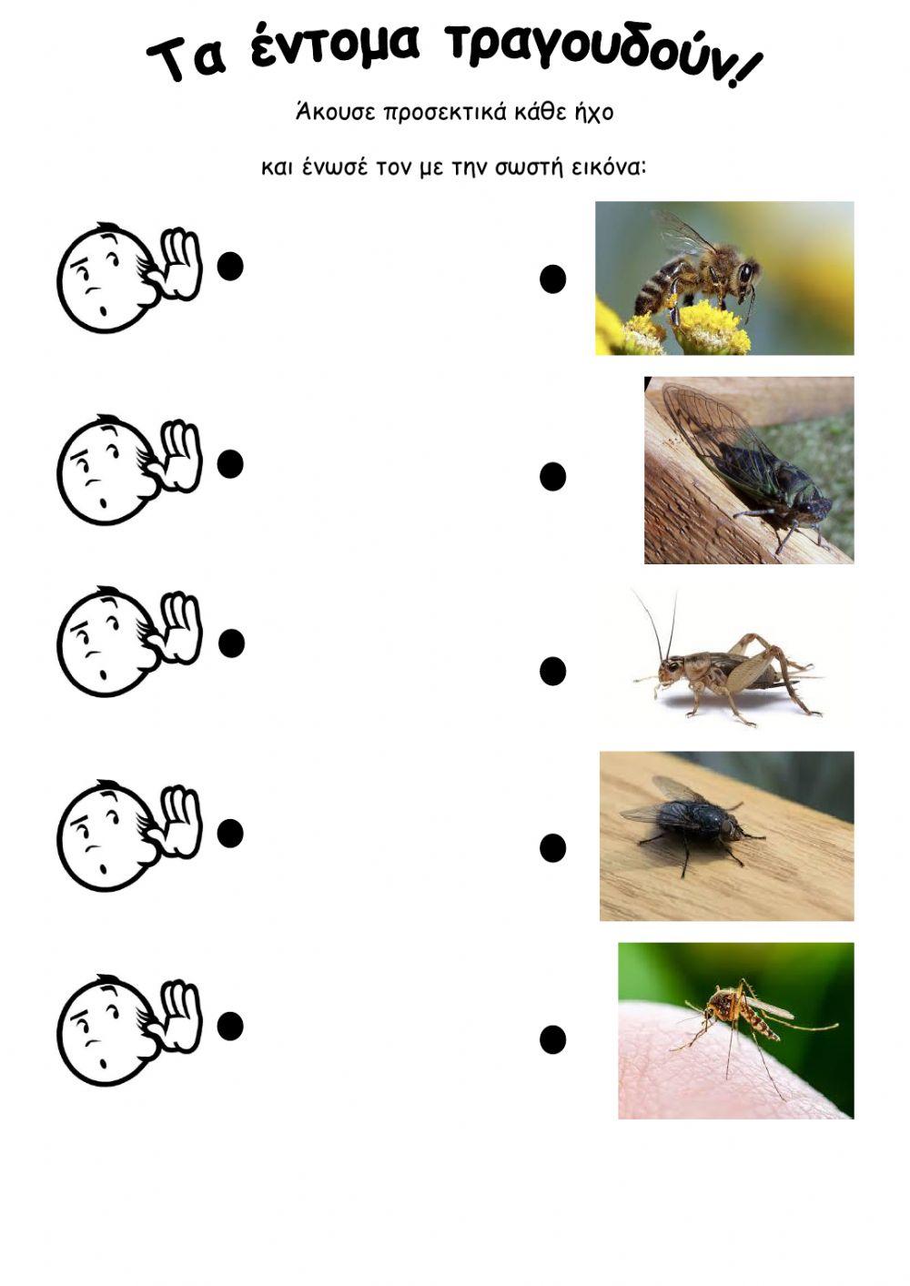 Τα έντομα τραγουδούν!!!