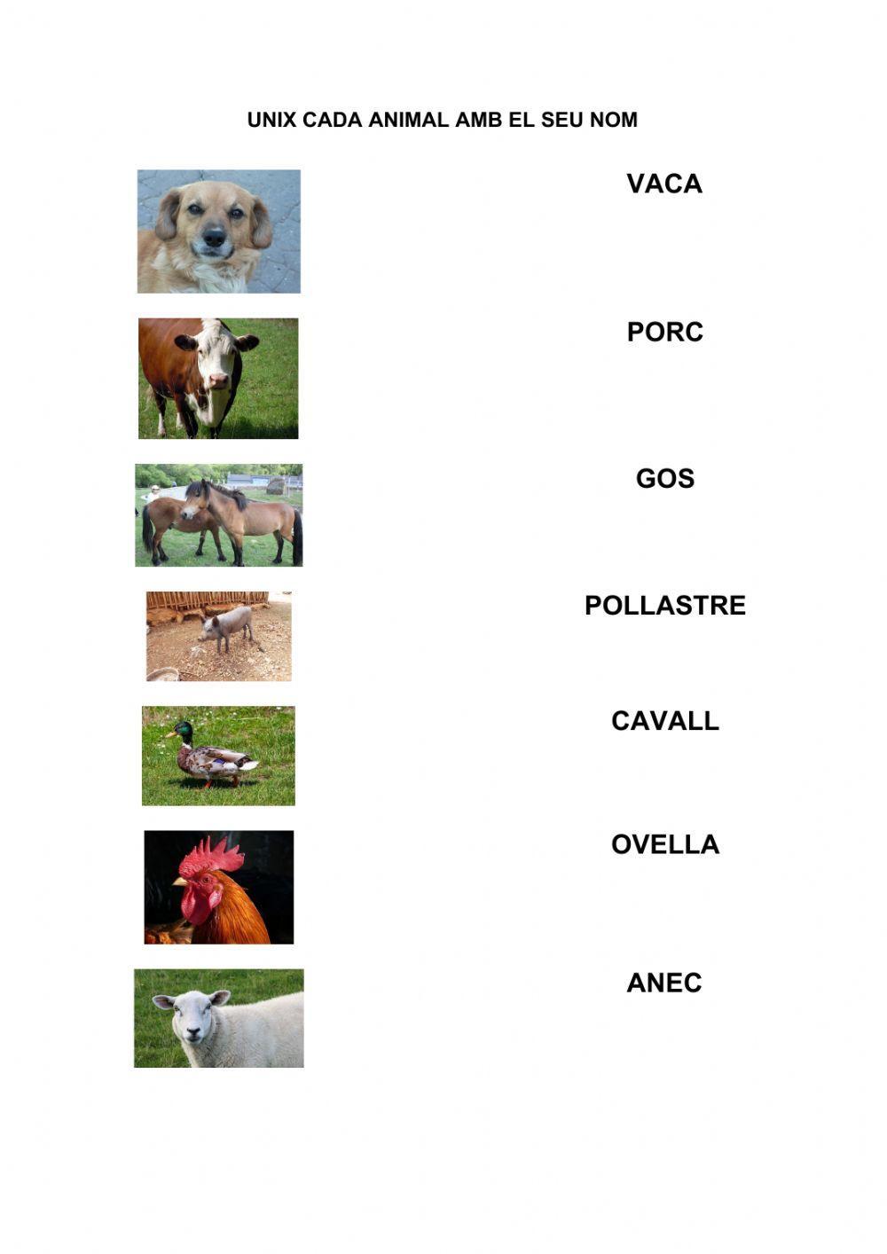 Vocabulari animals de granja