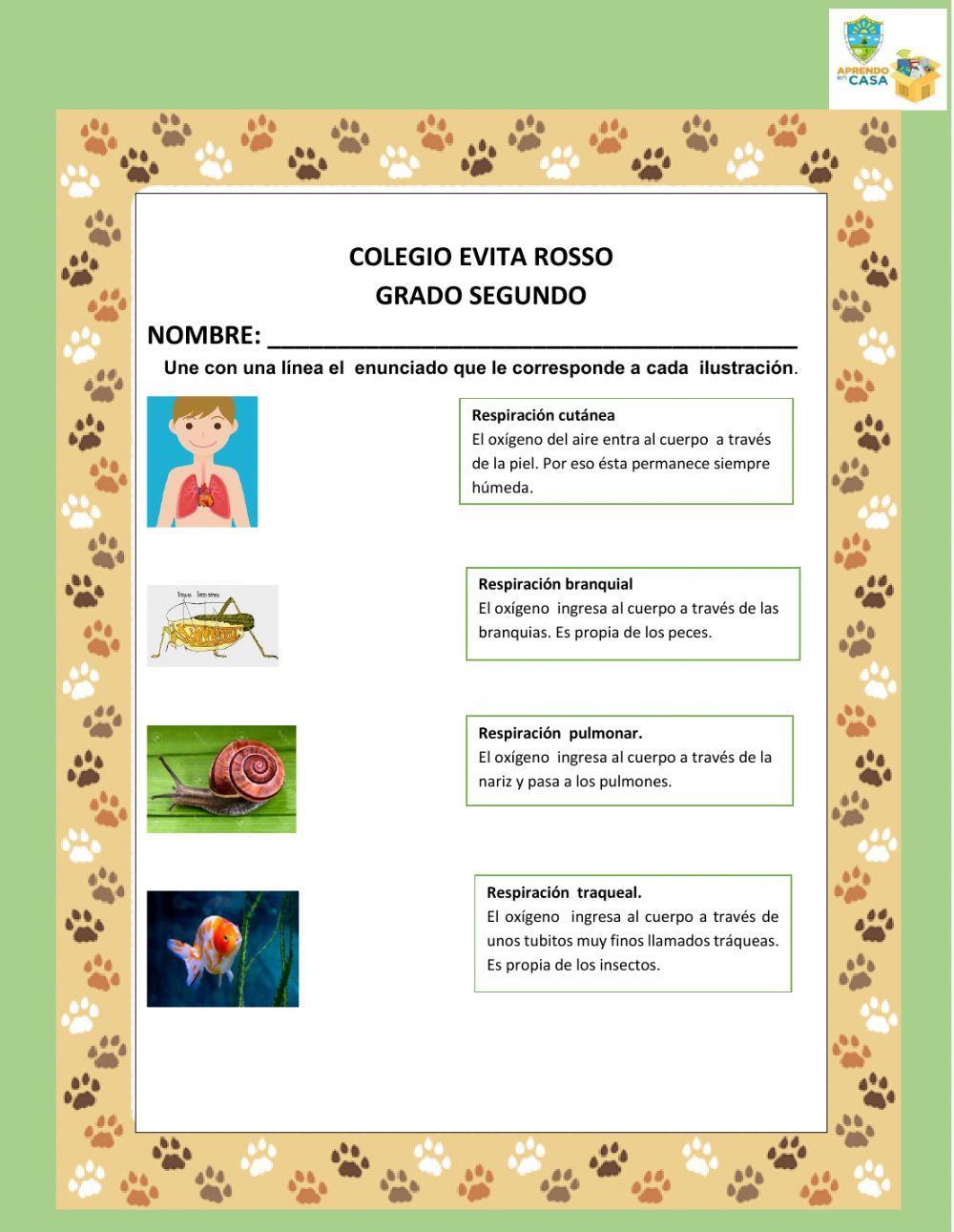 Clases de respiración.