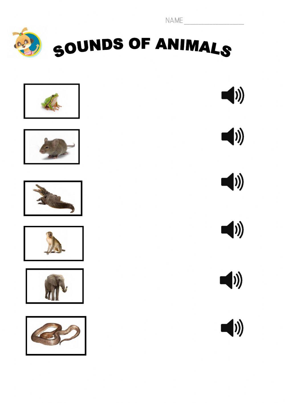 The sounds of animals The sounds of animals