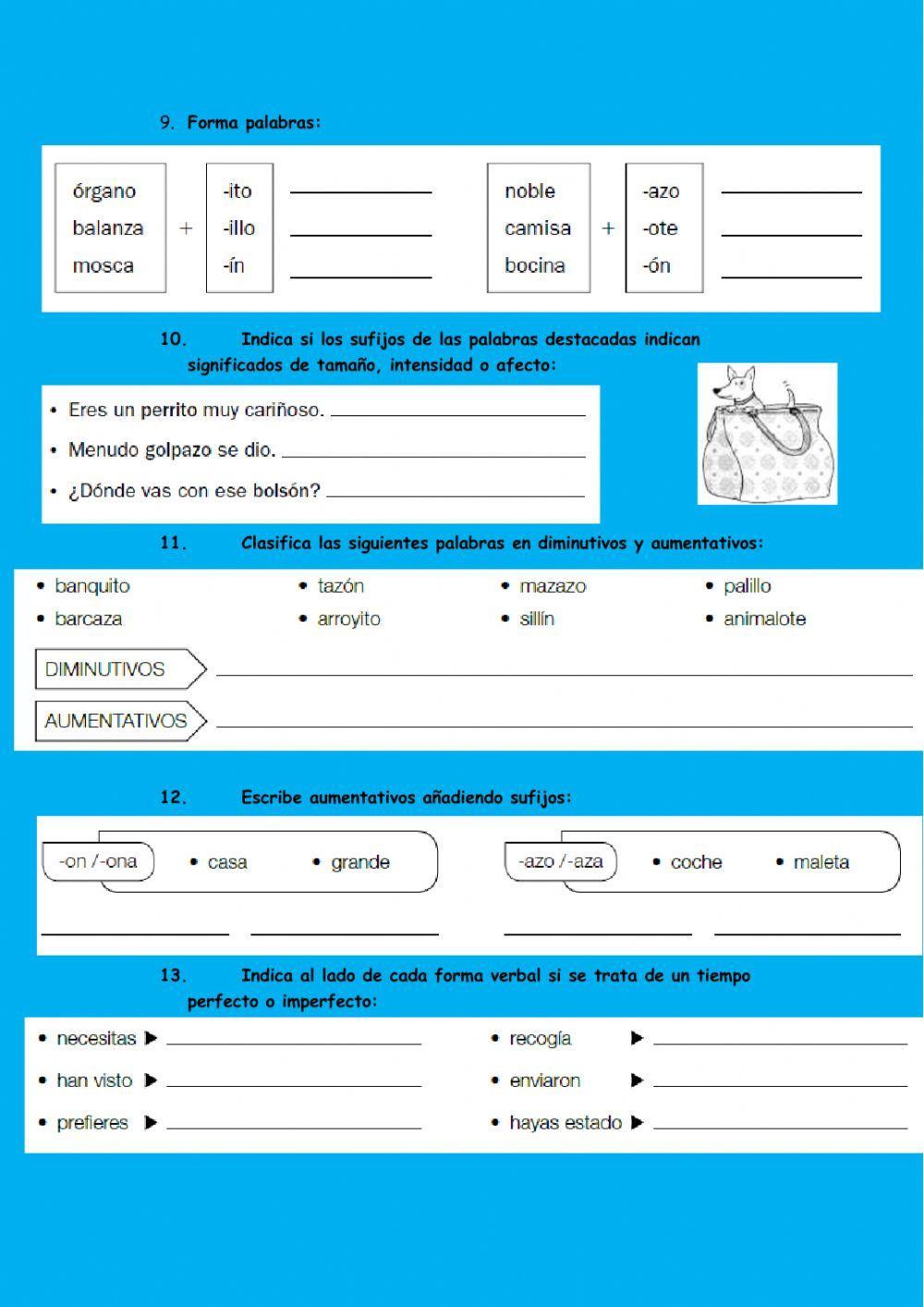 Ficha lengua tema 12