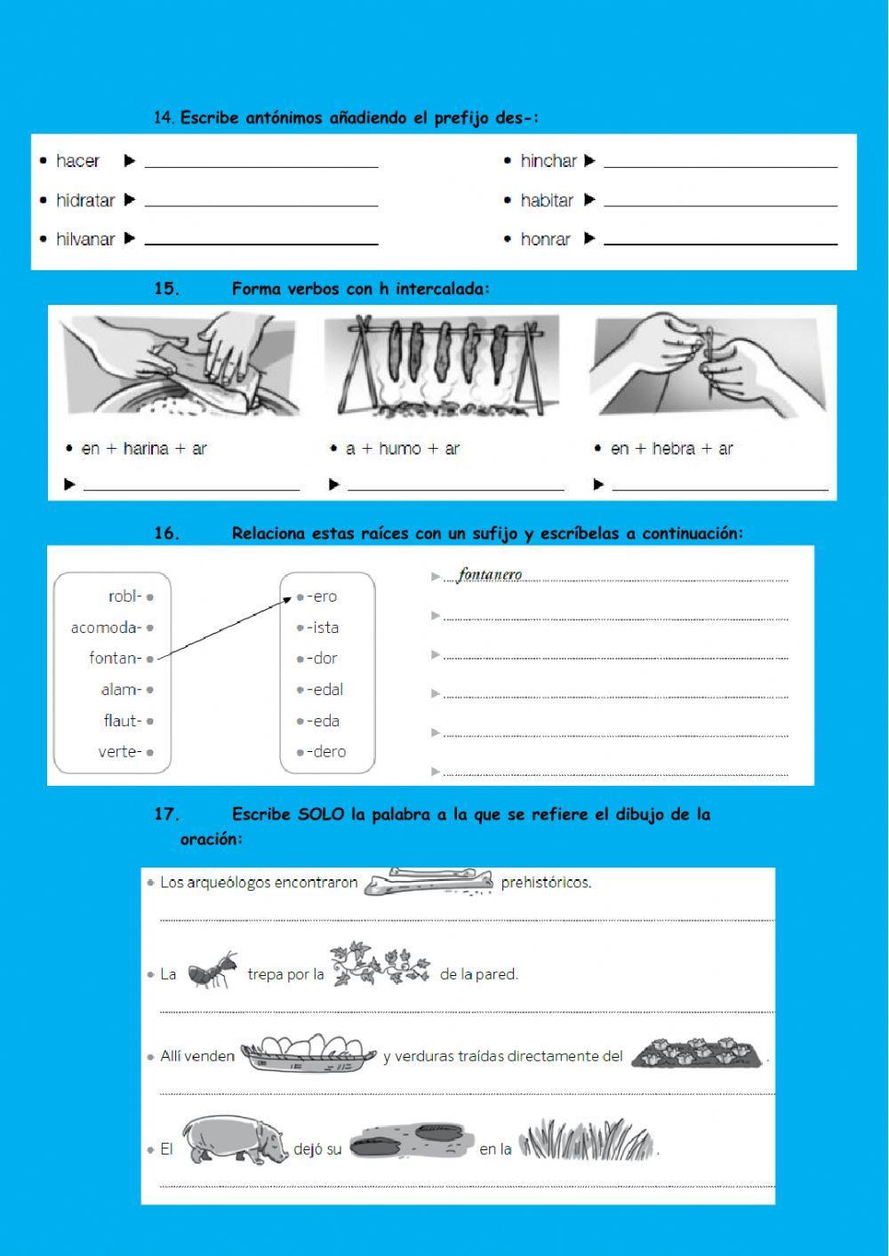 Ficha lengua tema 12