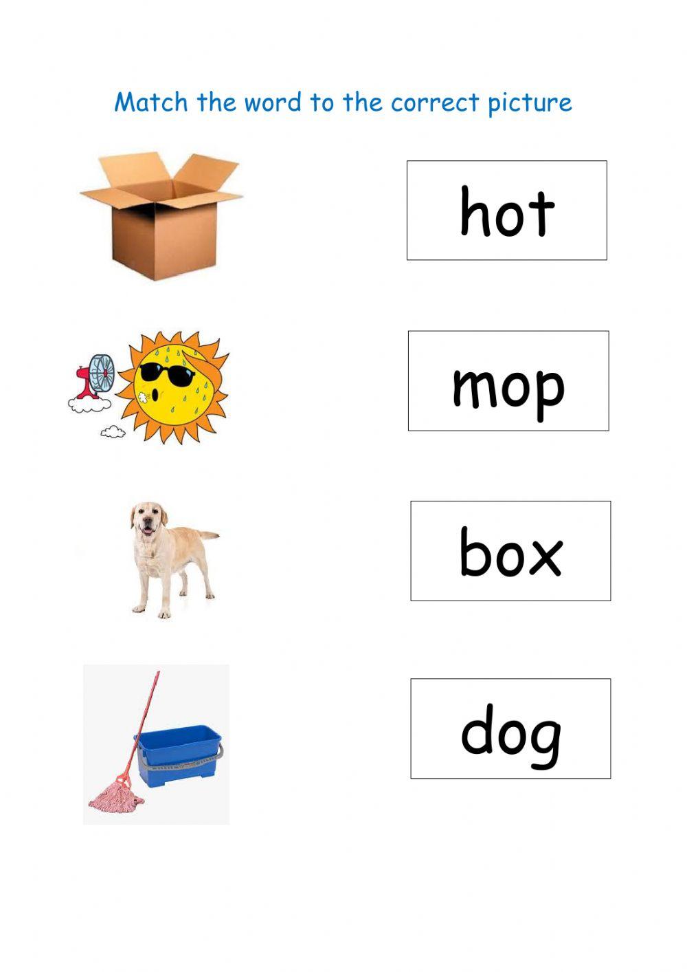 Match the picture to the world middle sound o