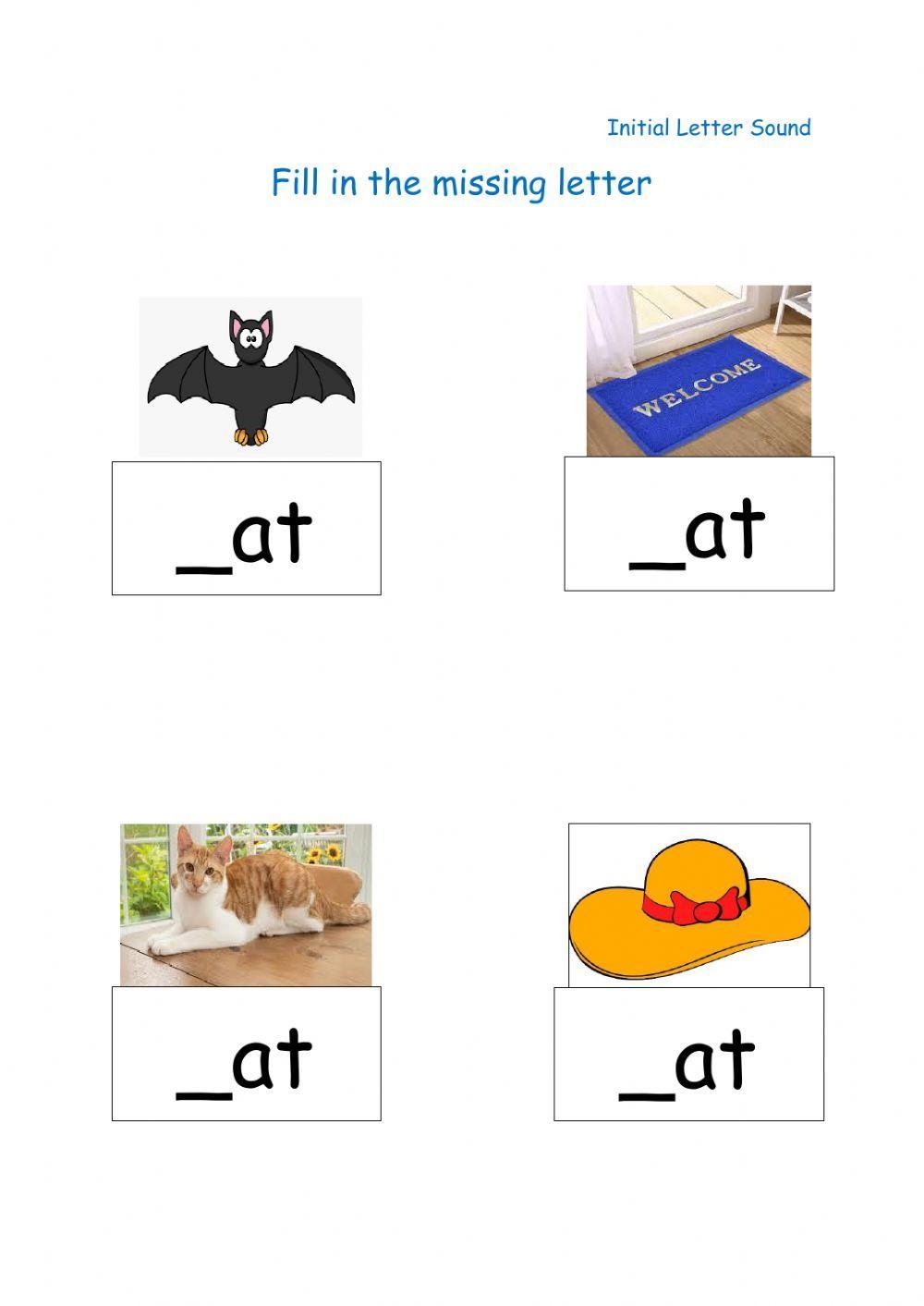 Fill in Missing Letter - Initial