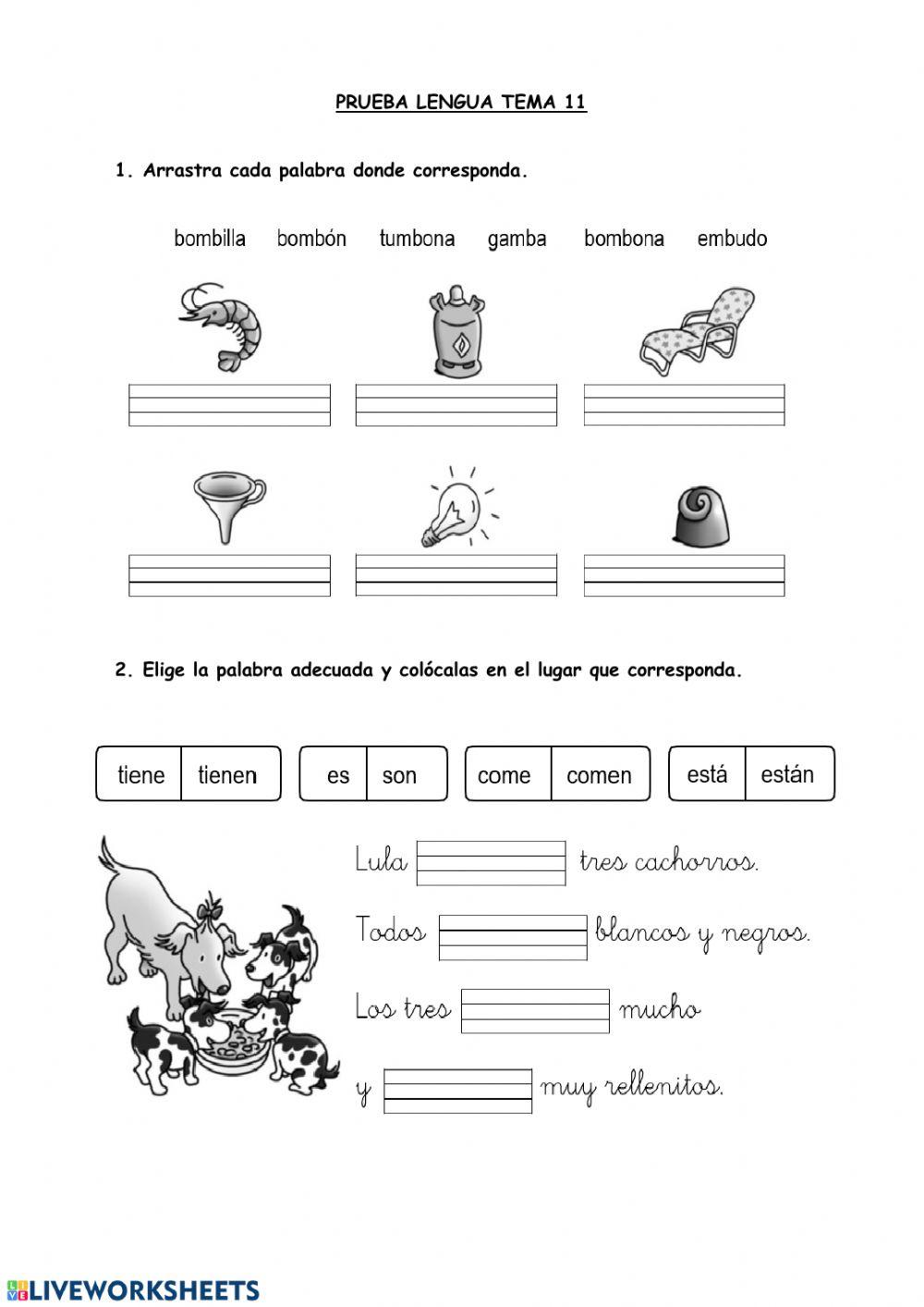 Prueba Lengua Tema 11