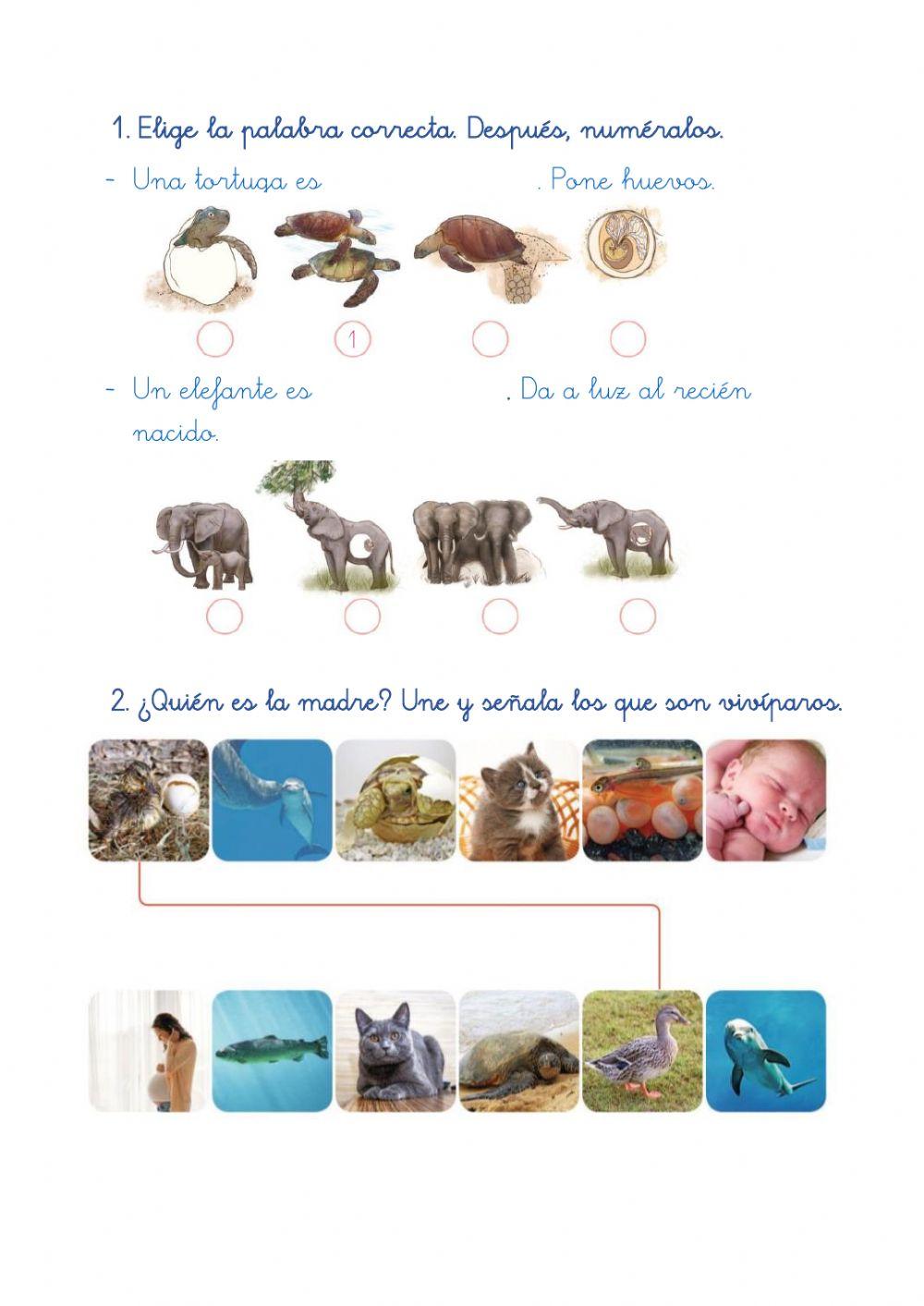 Natural Science 4 -5 español