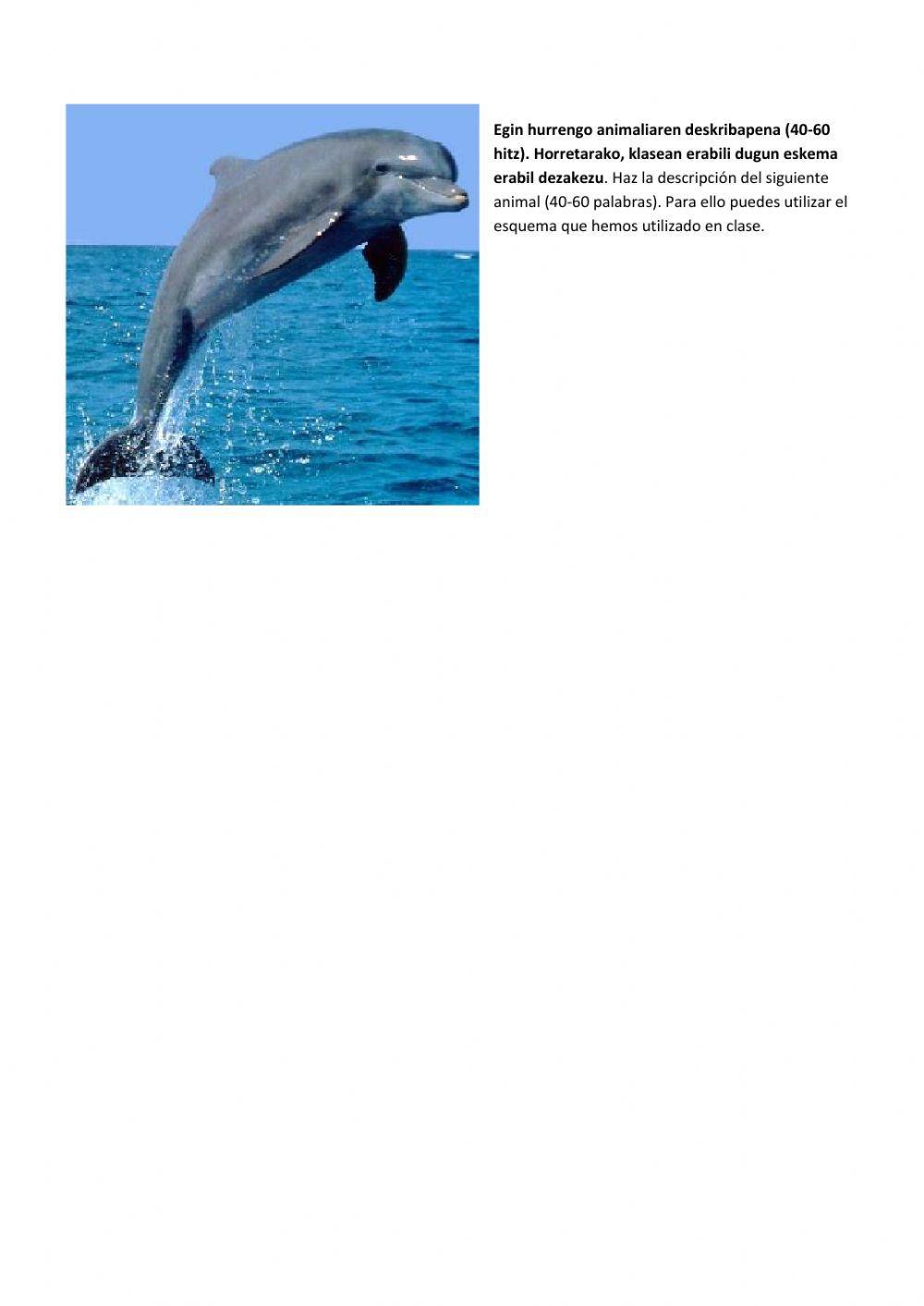 2.MAILA-3.Ebaluazioa-B-aukera