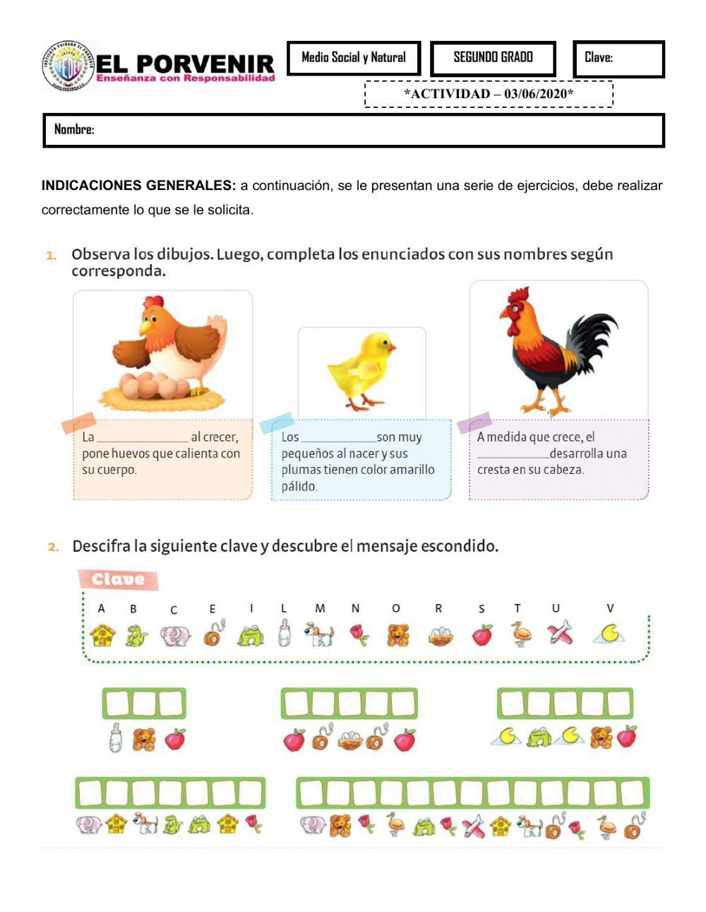 CICLOS DE VIDA, MEDIO SOCIAL Y NATURAL 03-06-2020