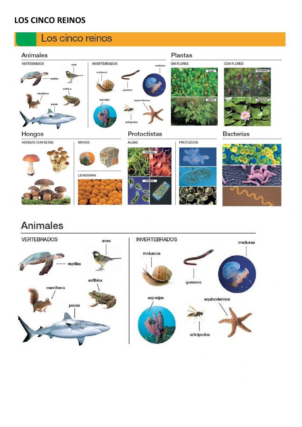 La biosfera. parte 2