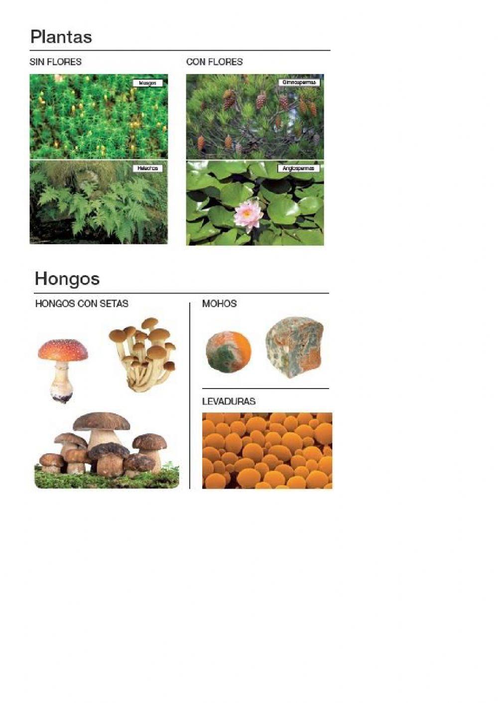 La biosfera. parte 2