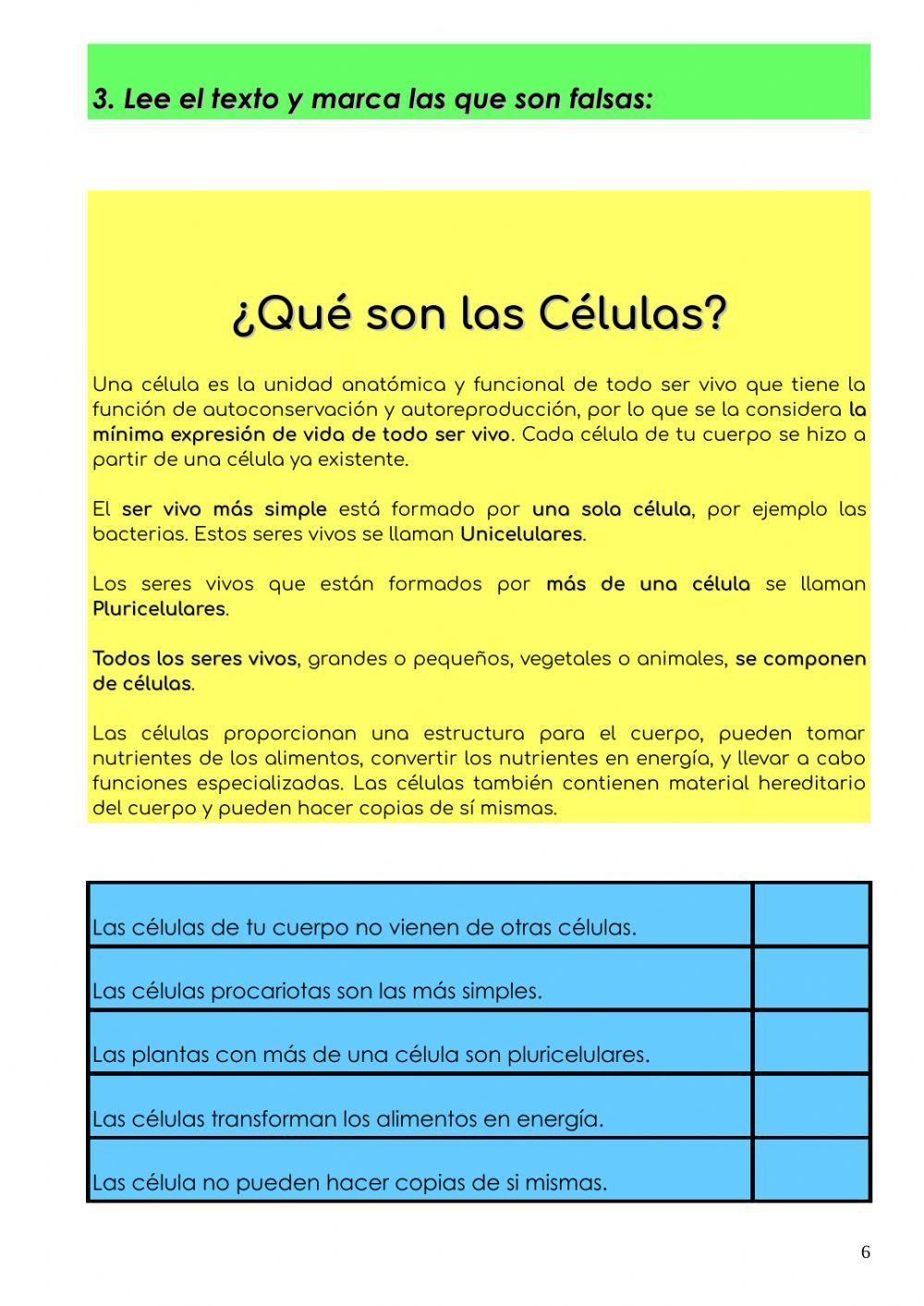 Comprensión Escrita Prueba 2 PT3